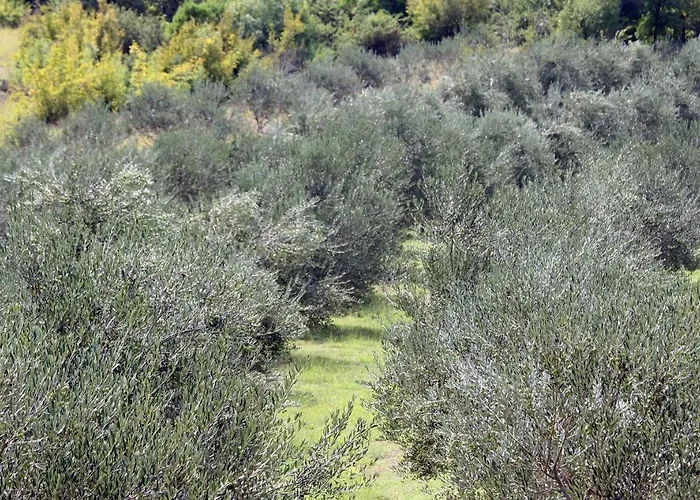 Διαμέρισμα Mond Gornji Karin